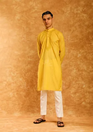 Rauf Embroidered Rayon Straight Men's Kurta